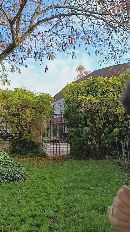 La robe intemporelle